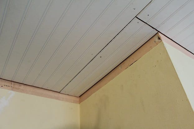 roughceiling