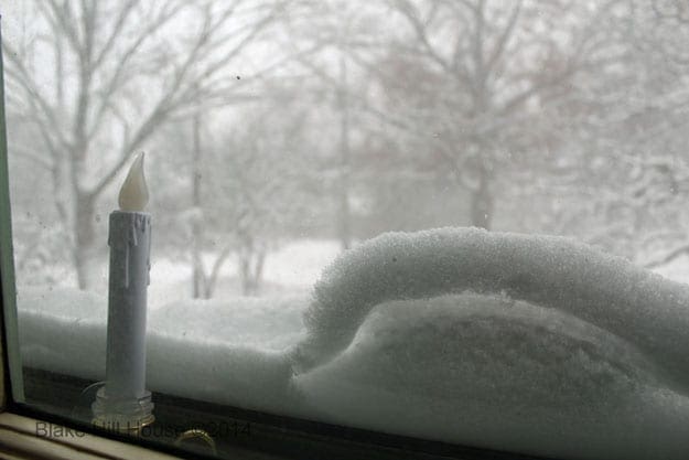View out the Front Window