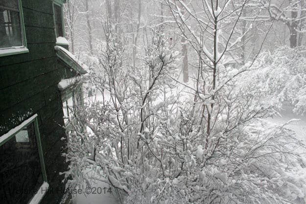 Behind the House