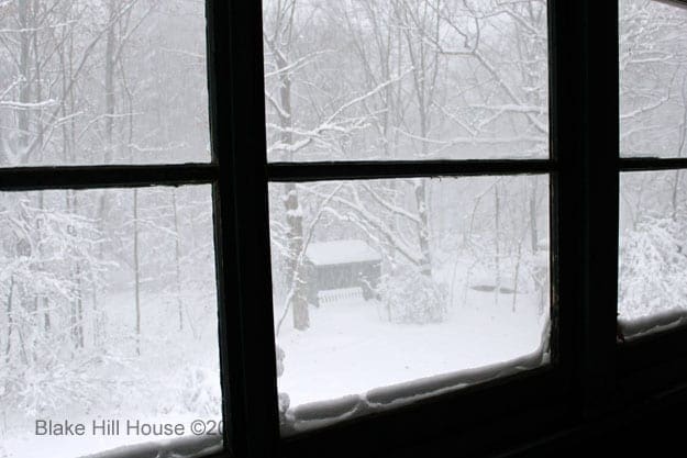 Out the Back Window