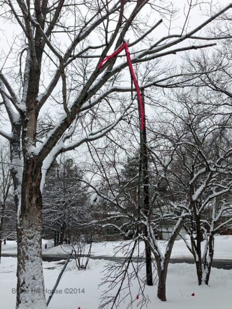 Broken limb