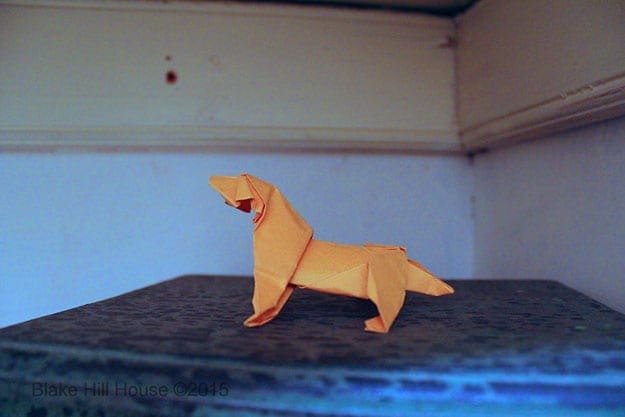 On top of the jewelry box I keep my favorite origami dog made by O.