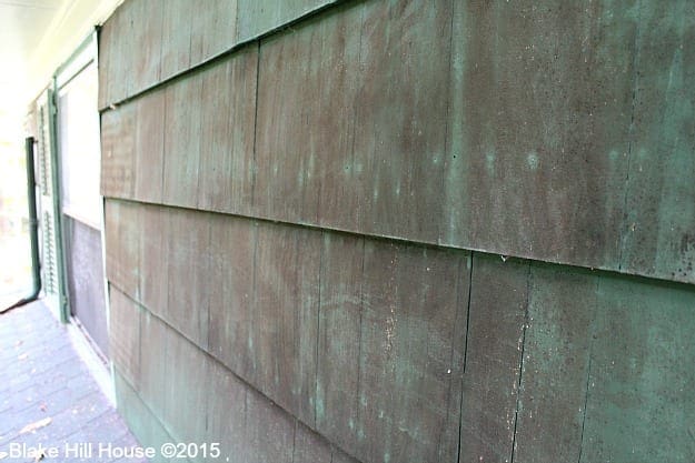 shinglemildew1