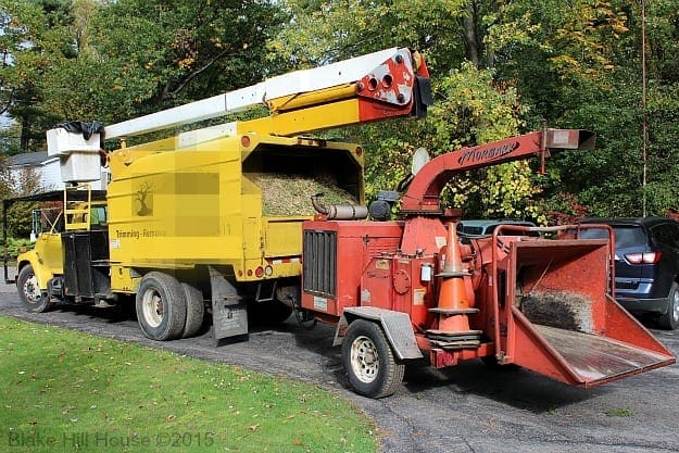 treeservice1