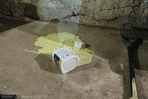 basementpaintspill