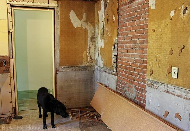 kitchenremodeldemo4